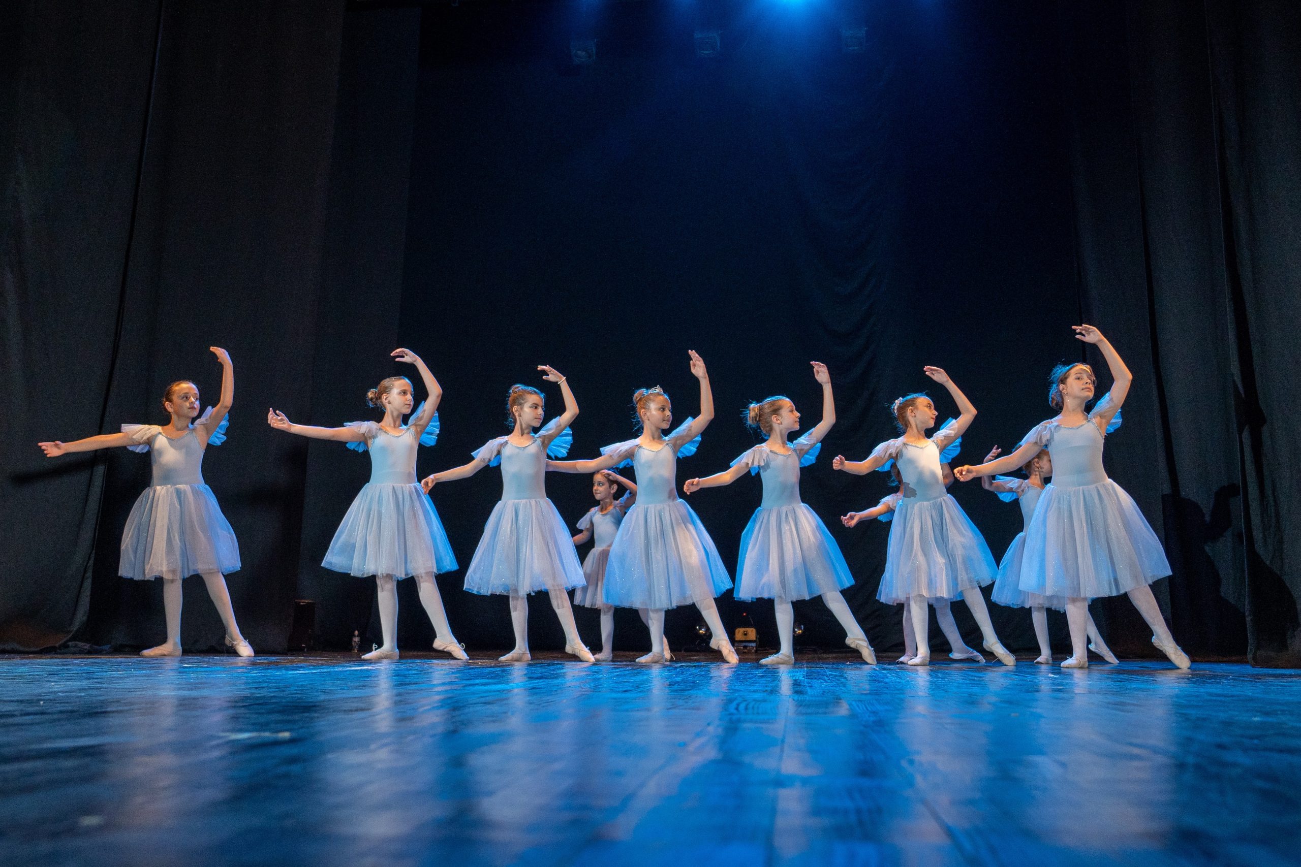 pepeljuga koreografija godisnji koncert